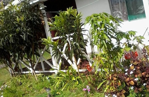 Hanga Roa House | Honu Rapanui Lodge accredited in Sernatur (