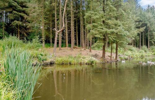 Honiton Resort | Hornbeam Country Park