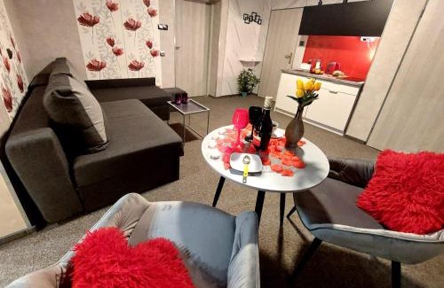 Koszalin Apartment | Hortensja 309