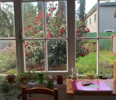 Valdivia Bed & Breakfast | Hospedaje en borde río