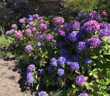 Ensenada House | Hospedaje Hamiltons Place