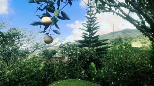 Restrepo Hotel | Hospedaje la Diana