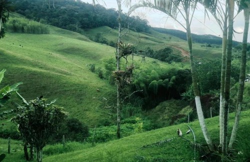 Restrepo Hotel | Hospedaje la Diana