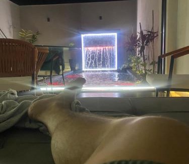 Goiania House | Hospedaria Flamboyant