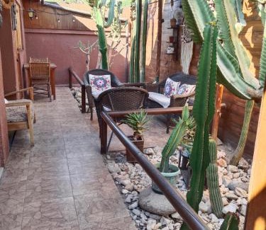 Copiapo House | Hostal Cactus Copiapo
