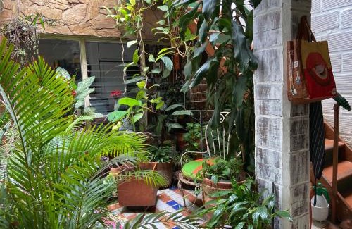 Villa Hermosa House | Hostal Casa Las Tías