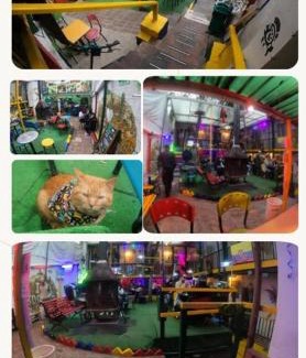 La Candelaria House | Hostal Gastro Bar Casa Colibrí