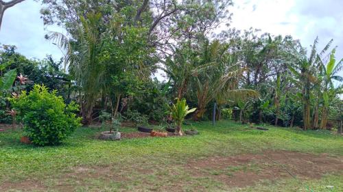 Hanga Roa House | Hostal Kaiheke