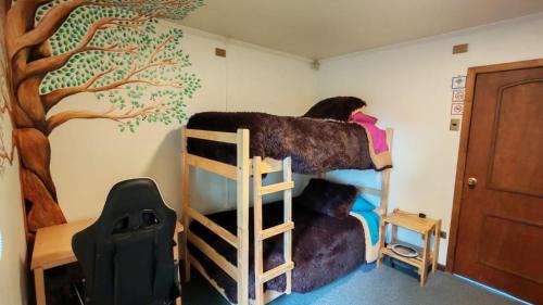 Osorno Bed & Breakfast | Hostal Punto Rockstar