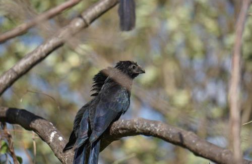 Merida Cabin | Hostal y Restaurante Rancho Merida