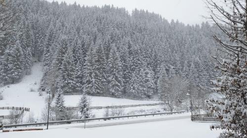 Fleres Hotel | Hotel Argentum by Bergkristall