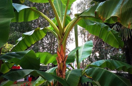 Eraclea Mare Hotel | Hotel Aurora