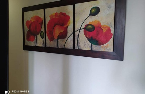 Monteria Hotel | Hotel Calarca N1