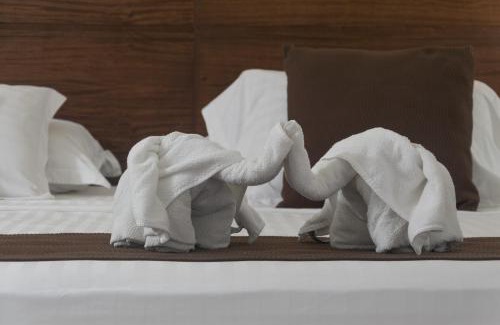 Florencia Hotel | Hotel Caquetá Real HSC