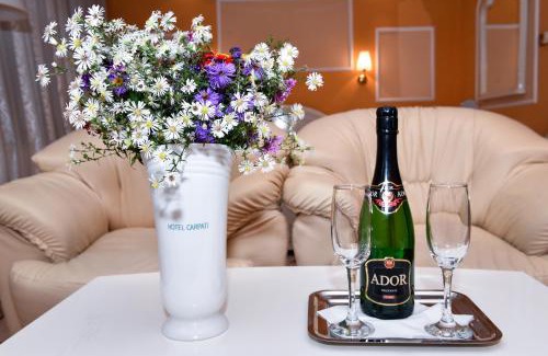 Baia Mare Hotel | Hotel Carpati