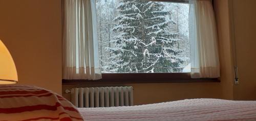 Staffa Hotel | Hotel Cristallo