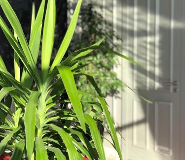 Mitrovicë Hotel | Hotel Dardani