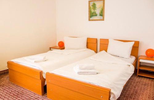 Tirgu Mures Hotel | Hotel Darina