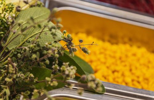 Colle Isarco Hotel | Hotel Erna