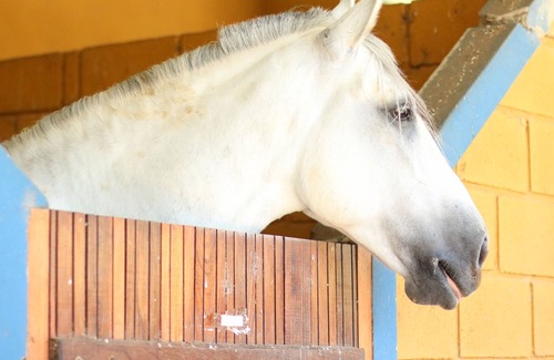 Ipuiuna Other | Hotel Fazenda Pousada Vale Encantado