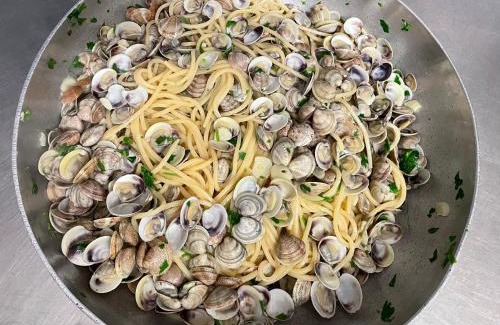 Marina Centro Hotel | Hotel Fiammetta Rimini