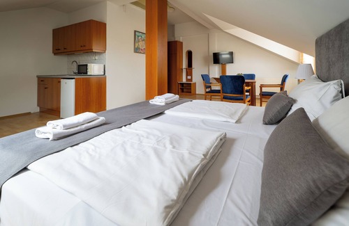 Zalakaros Hotel | Hotel Forrás Zalakaros