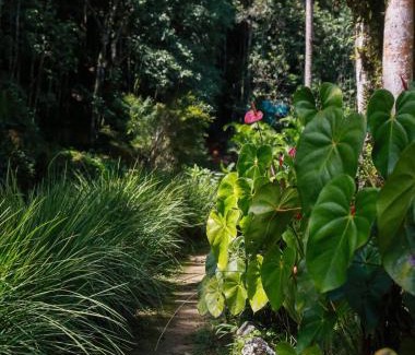 Teresopolis Cabin | Hotel Gaura Mandir