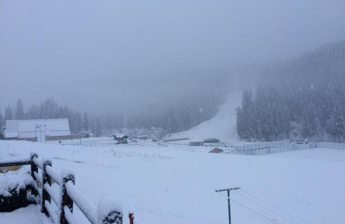 Granvilla Hotel | Hotel Haus Michaela