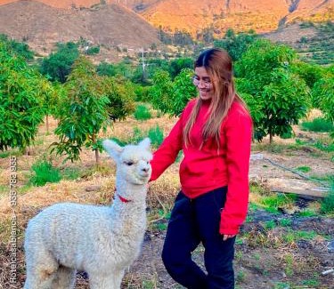 Huaytara Hotel | HOTEL HUAYTARA CasaBlanca