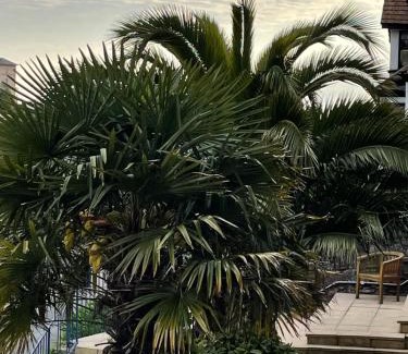 Torquay City Centre House | Hotel Hudson