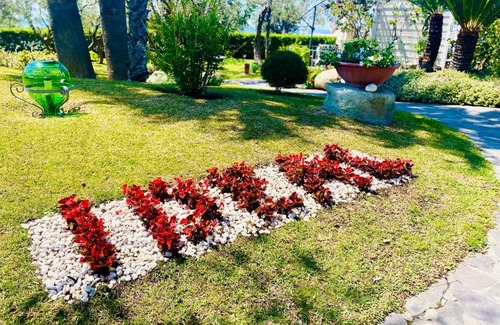 Forio Hotel | Hotel Ideal