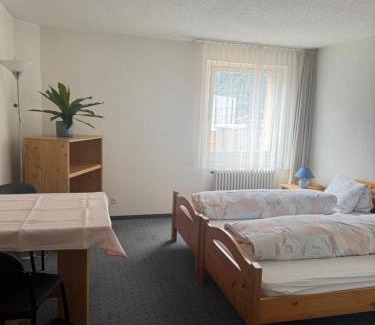 Meiringen Hotel | Hotel ilufa