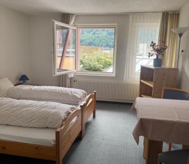 Meiringen Hotel | Hotel ilufa