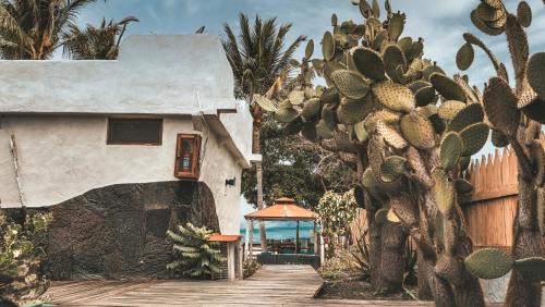 Puerto Villamil Hotel | Hotel Isamar Galapagos Beachfront