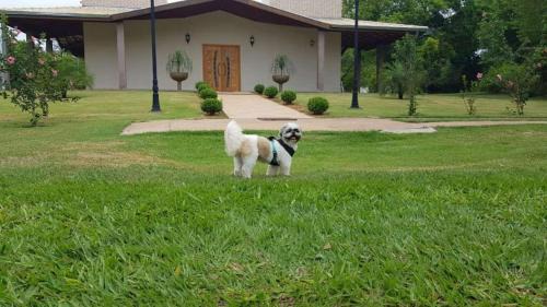 Avare Hotel | Hotel Kaeru