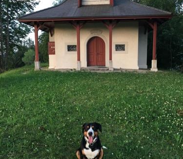 Escholzmatt Hotel | Hotel Löwen