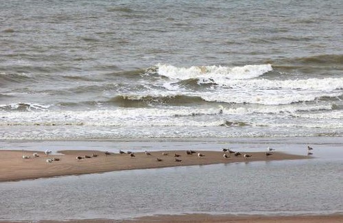 Wenduine Hotel | Hotel Les Mouettes