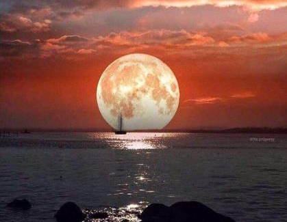 Centro Hotel | HOTEL LUAR ATLANTICO