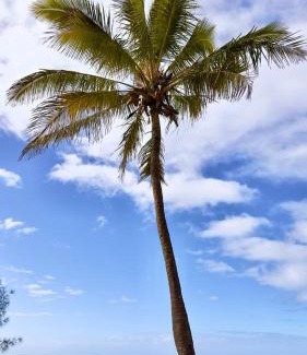Hanga Roa Hotel | Hotel Maea Hare Repa