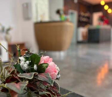 Miramare Hotel | Hotel Mirò Rimini