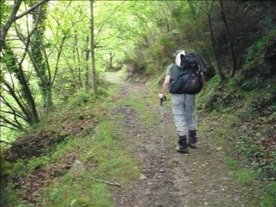 Pola de Allande Hotel | Hotel Nueva Allandesa