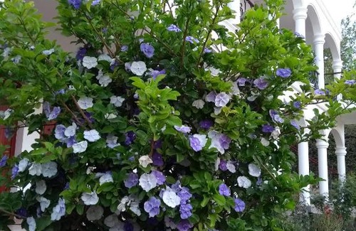 Cafayate Hotel | Hotel Portal del Santo