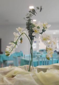 Ubatuba Hotel | Hotel Porto de Paz - Shantiniketan