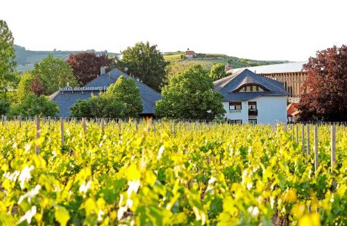 Bad Duerkheim Hotel | Hotel Restaurant Fronmühle 3 Sterne Superior