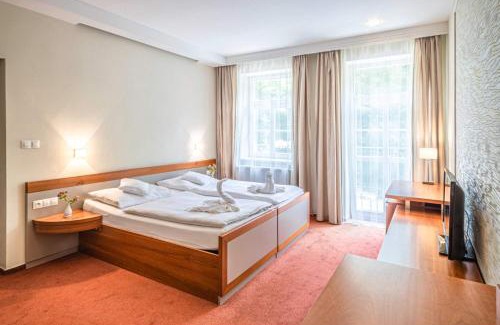 Frantiskovy Lazne Hotel | Hotel Reza