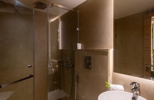 Saket Hotel | Hotel Saket 27