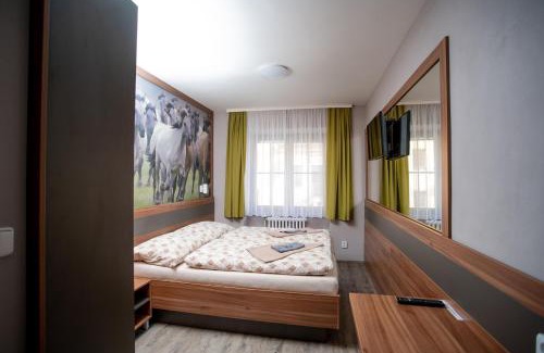 Beroun Hotel | Hotel U koně