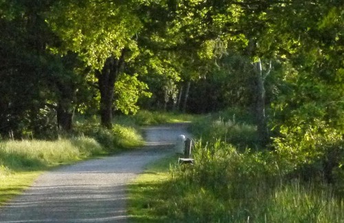 Region Hannover District Hotel | Hotel und Gästehaus Will