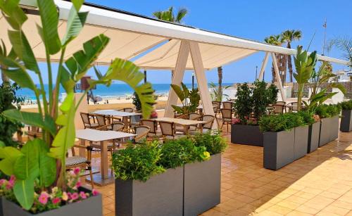 Chipiona Hotel | Hotel Vértice Chipiona Mar