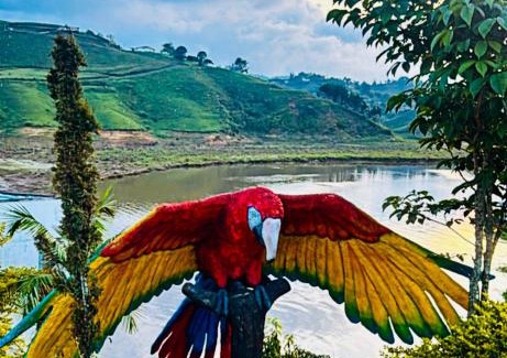 El Penol Hotel | Hotel y Termales Castillo Del Lago Guatape